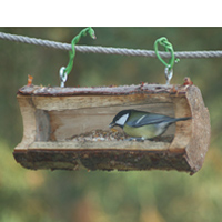vogel voederbakje