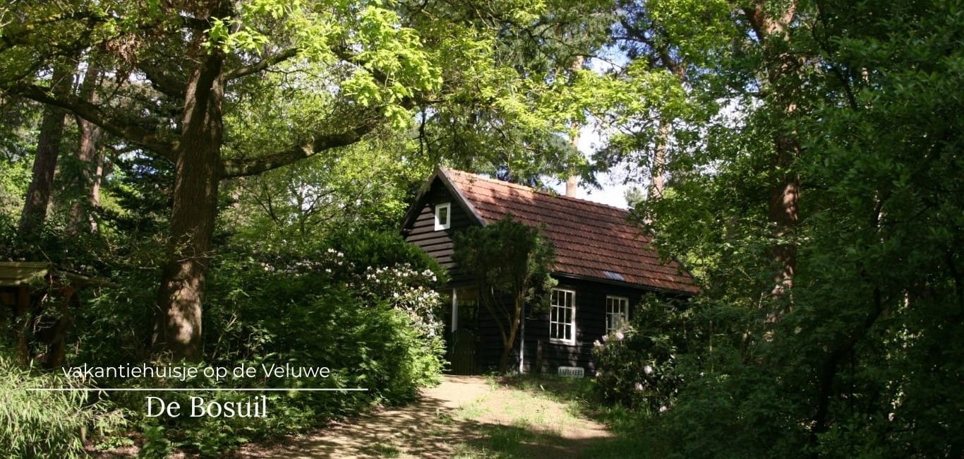 vakantiehuisje de bosuil